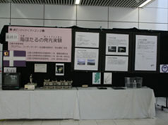 表の展示